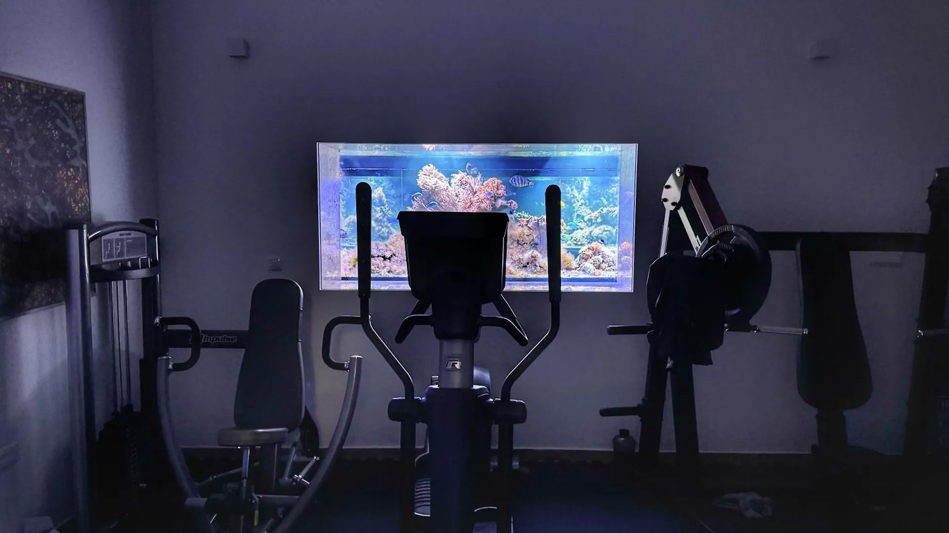 Wellness Villa Biocrystal With Heated Indoor Pool, Private Spa, Tennis Court And Fitness Hreljin
